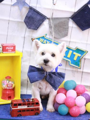 20230407レオンくん